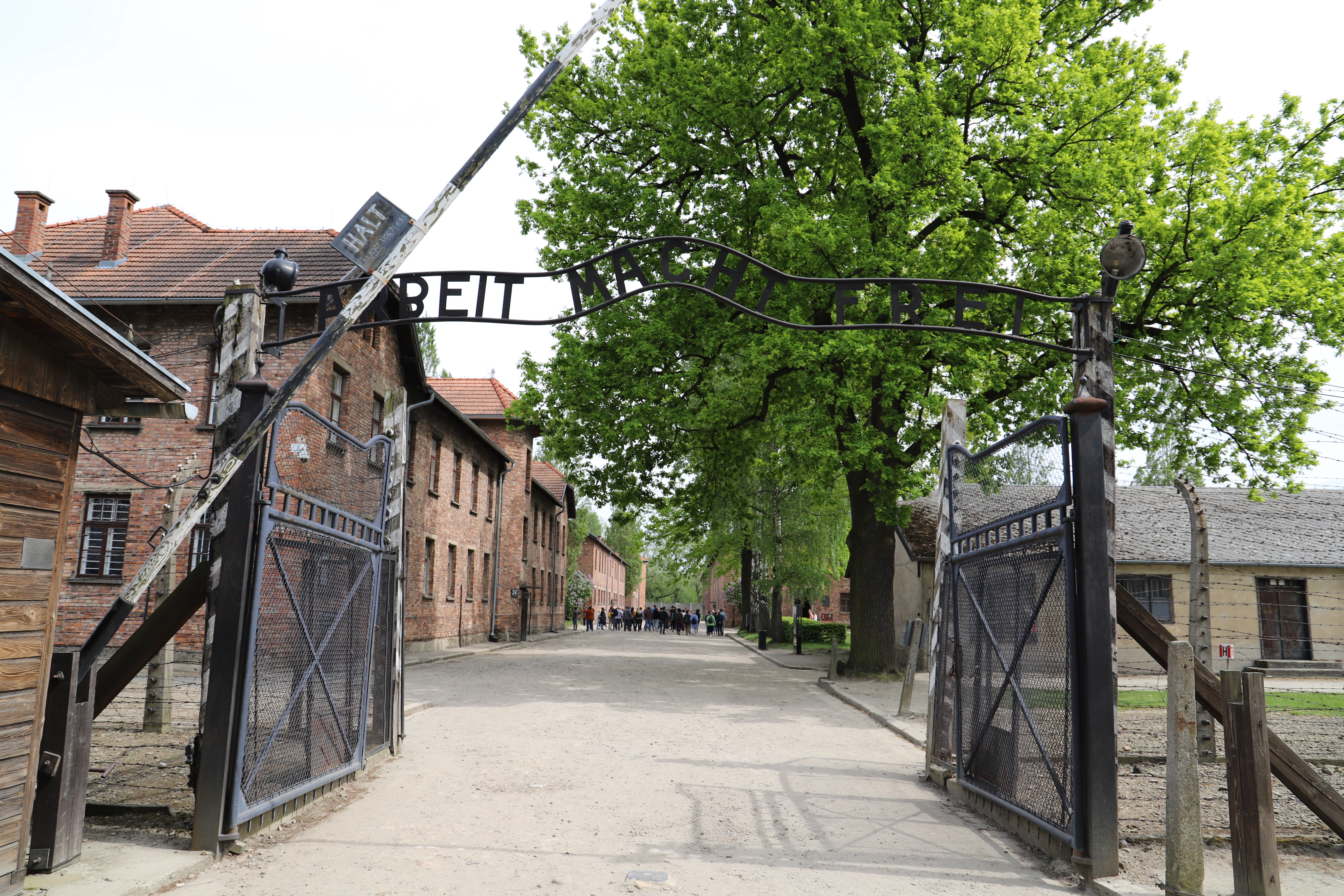 Auschwitz