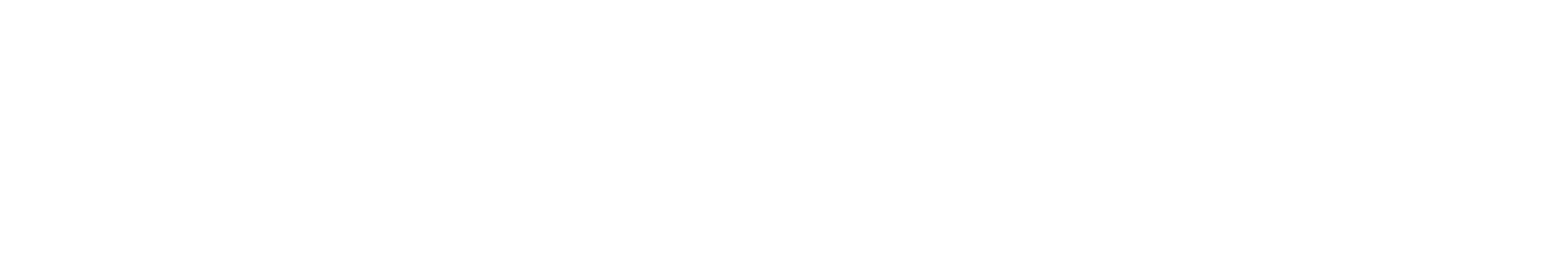 Cofinanciado pela União Europeia